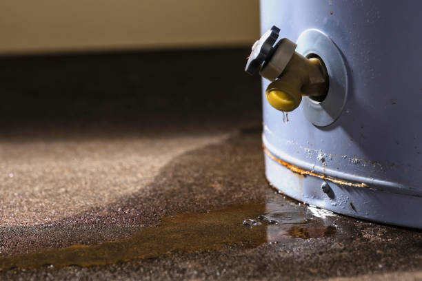 Best Water damage cleanup near me  in Bedford, OH