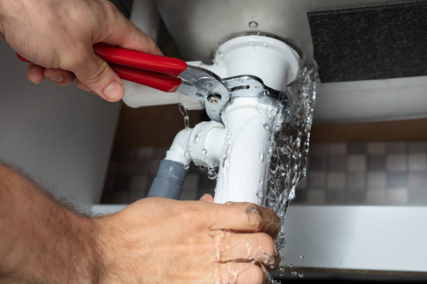 Best Mold removal after water damage  in Bedford, OH