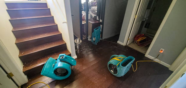 Best 24-hour water damage restoration  in Bedford, OH