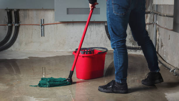 Best Basement water damage restoration  in Bedford, OH