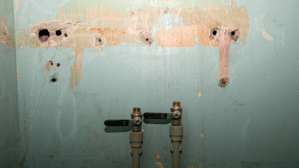 Best Flood damage cleanup  in Bedford, OH