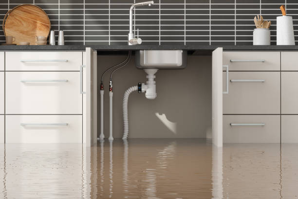 Best Water damage restoration cost  in Bedford, OH