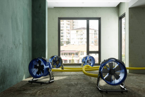 Best Flood restoration services  in Bedford, OH